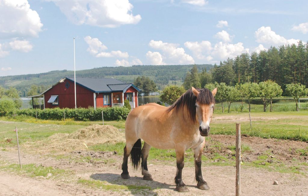 Jan 3, 2020 - Entire home/apt for $93. Gammal grd med enskilt lge. Timmerstuga med timrade bodar runt om+ gststuga. Storstuga med vedspis. Veranda Sommaridyll - Cabins for Rent in Lysvik - Airbnb