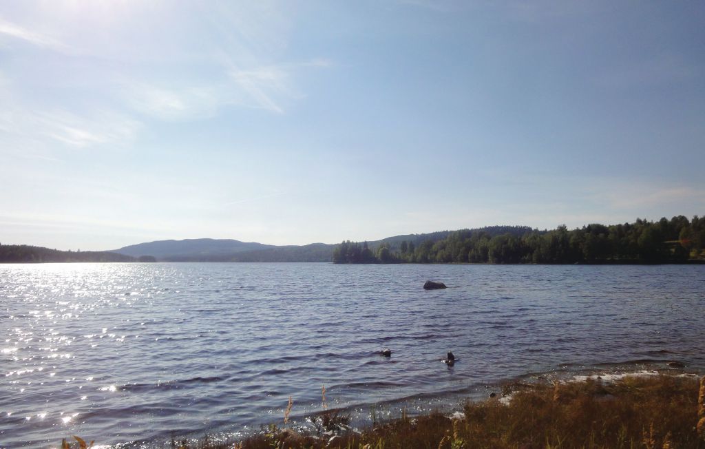 Feriehus - Bograngen , Sverige - S45692 22