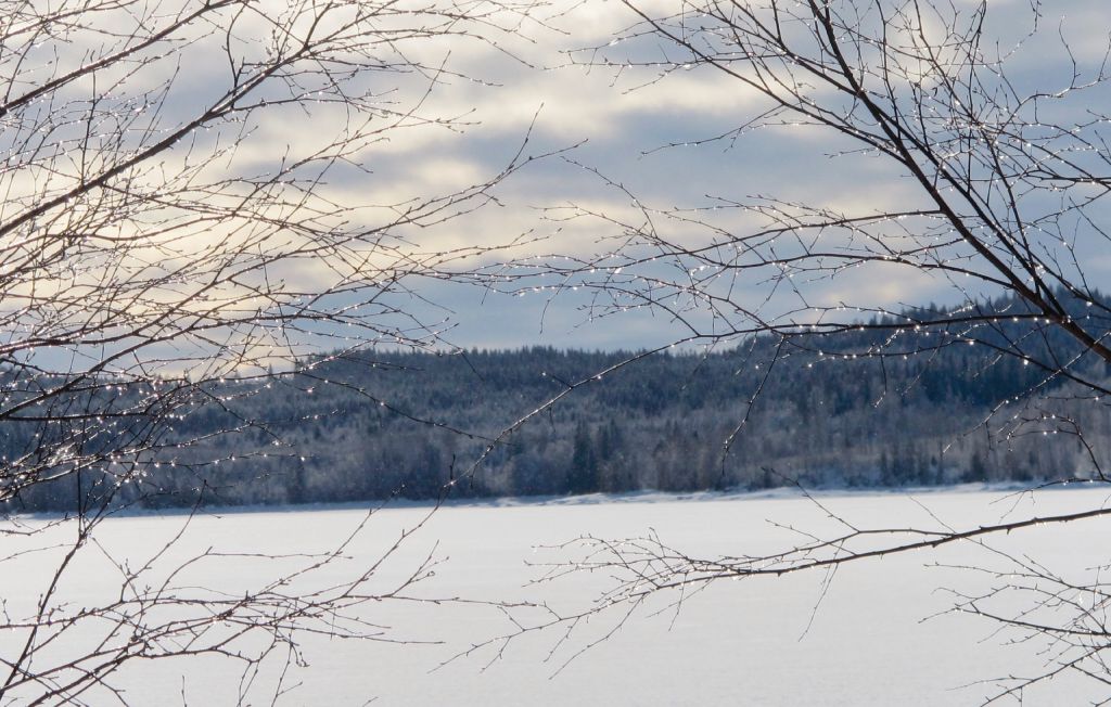 Feriehus - Gräsmark , Sverige - S45794 26