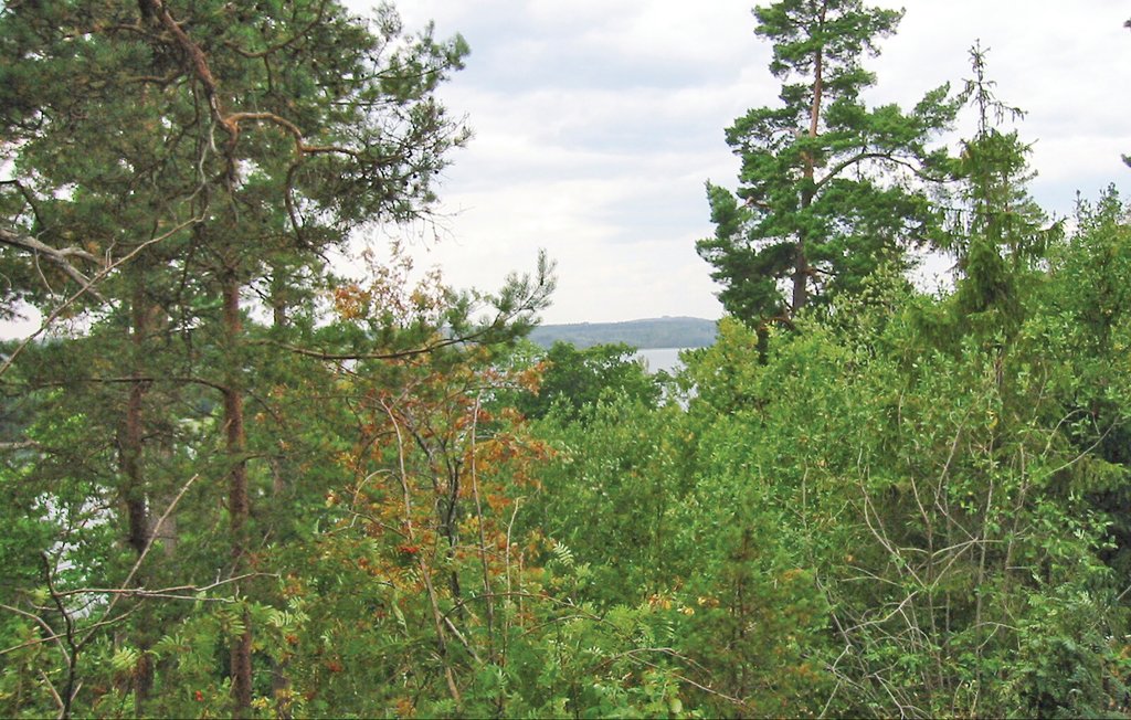 Feriehus - Ånimskog , Sverige - S45658 18