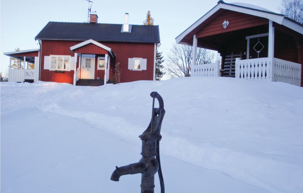 Semesterhus - Lesjöfors , Sverige - S45469 6