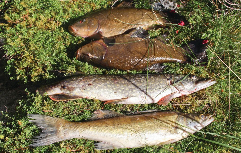 Feriehus - Lyckhem/Säffle , Sverige - S45438 23