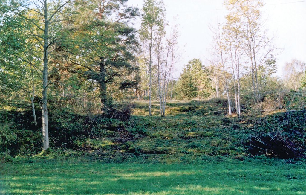 Feriehus - Köpmannebro , Sverige - S45704 17