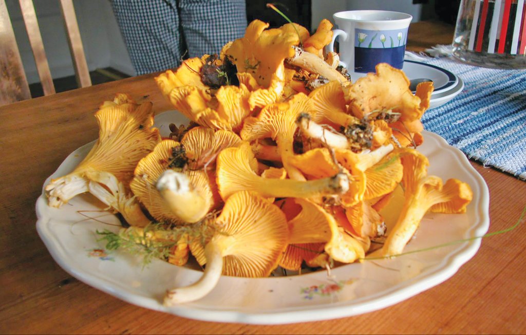 Ferienhaus - Torrskog/Bengtsfors , Schweden - S45166 9