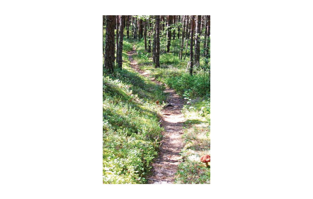 Feriehus - Hagfors , Sverige - S45015 12