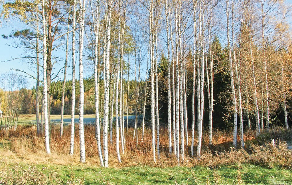 Feriehus - Lysvik , Sverige - S45763 10