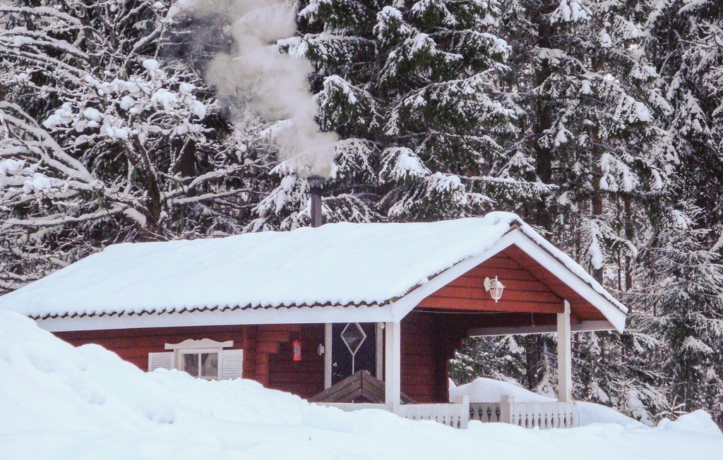 Semesterhus - Lesjöfors , Sverige - S45469 8