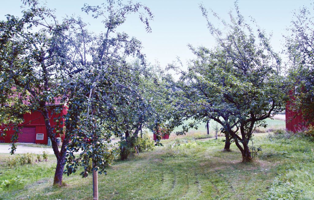 Feriehus - Storfors , Sverige - S45051 11