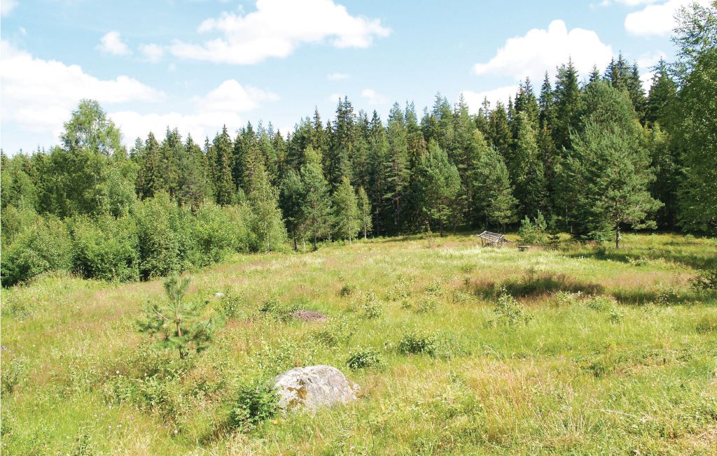 Semesterhus - Lesjöfors , Sverige - S45469 18