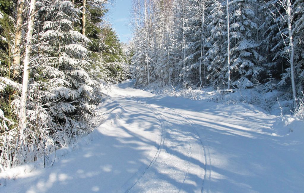 Feriehus - Gräsmark , Sverige - S45794 25