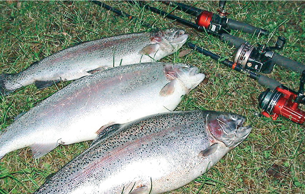 Semesterhus - Båtstadsviken/Östra Viker , Sverige - S45939 25