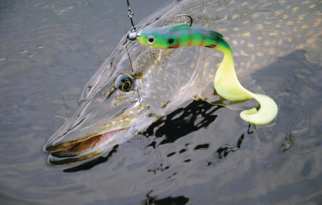 Semesterhus - Båtstadsviken/Östra Viker , Sverige - S45939 26