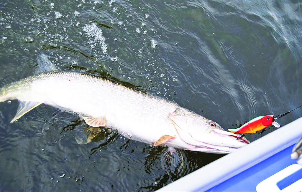 Feriehus - Töcksfors/Årjäng , Sverige - S45003 36