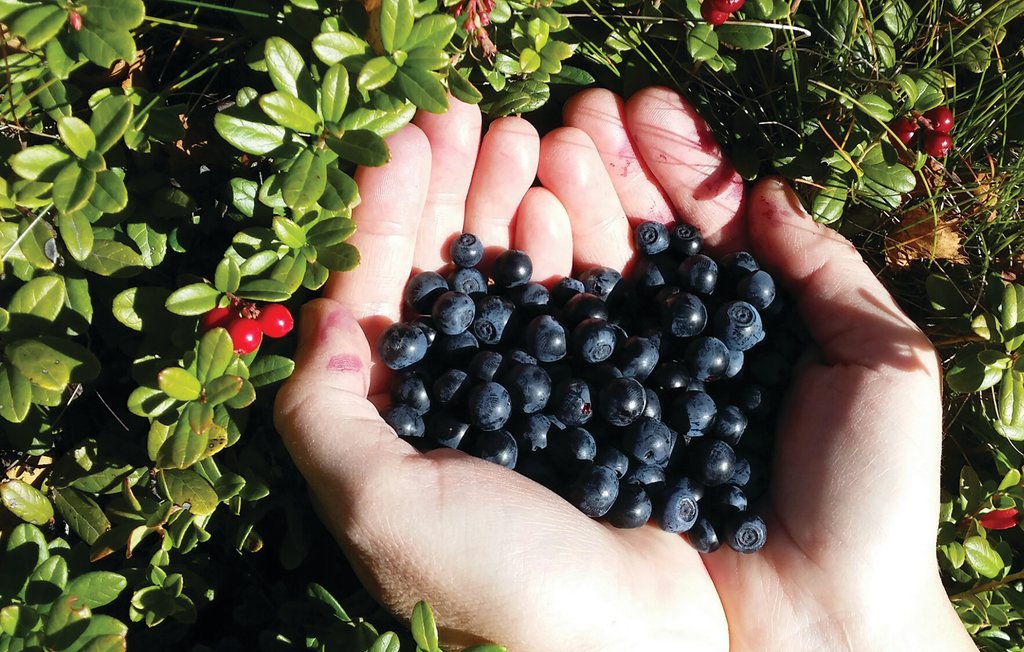 Semesterhus - Båtstadsviken/Östra Viker , Sverige - S45939 31