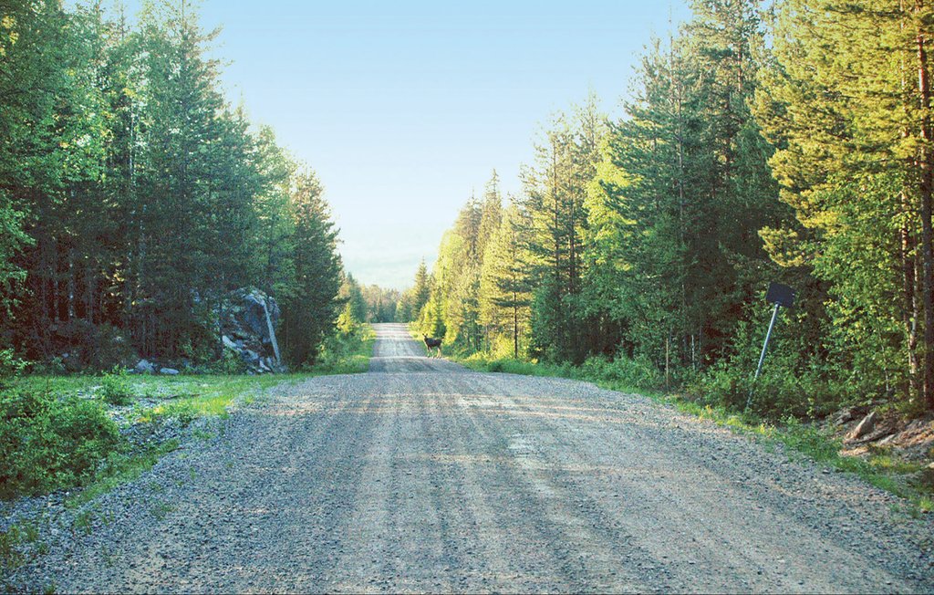 Ferieleilighet - Branäs , Sverige - S45093 11