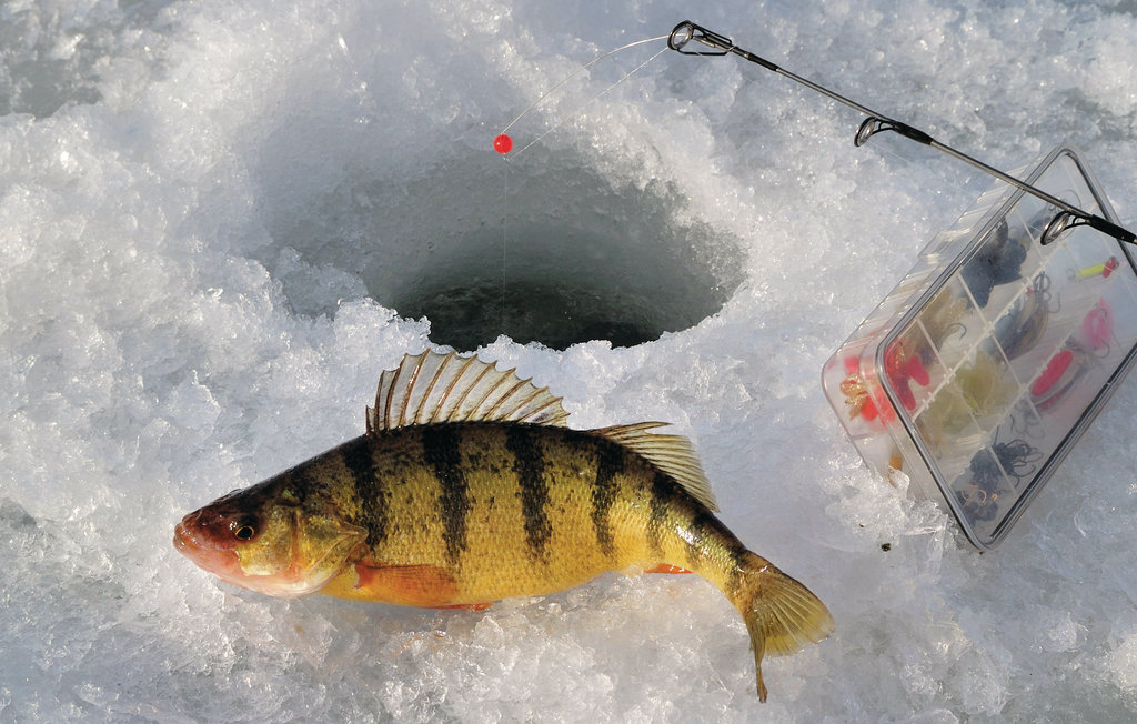 Semesterhus - Båtstadsviken/Östra Viker , Sverige - S45939 37