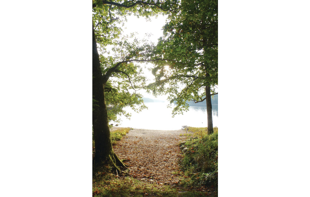 Feriehus - Färgelanda , Sverige - S45622 8