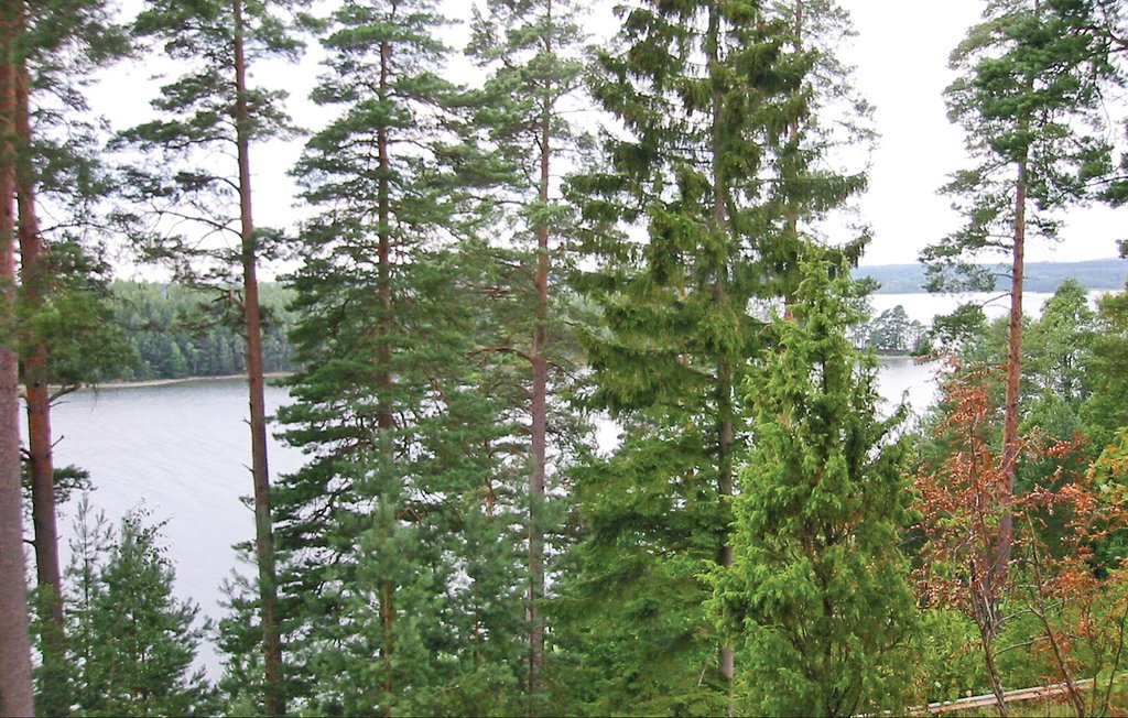 Feriehus - Ånimskog , Sverige - S45658 6