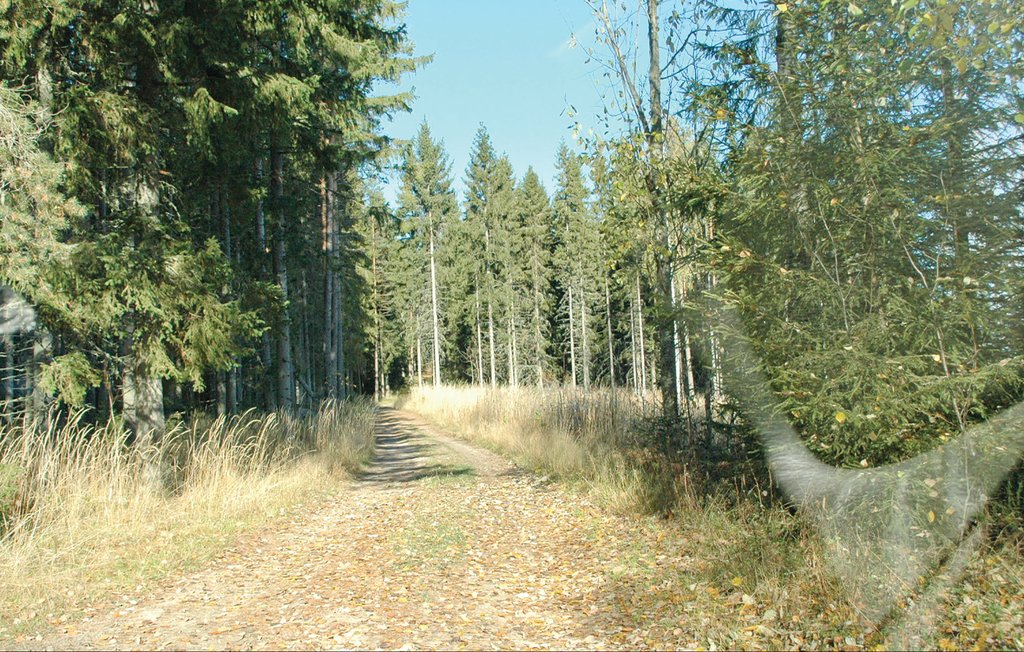 Feriehus - Lysvik , Sverige - S45763 32