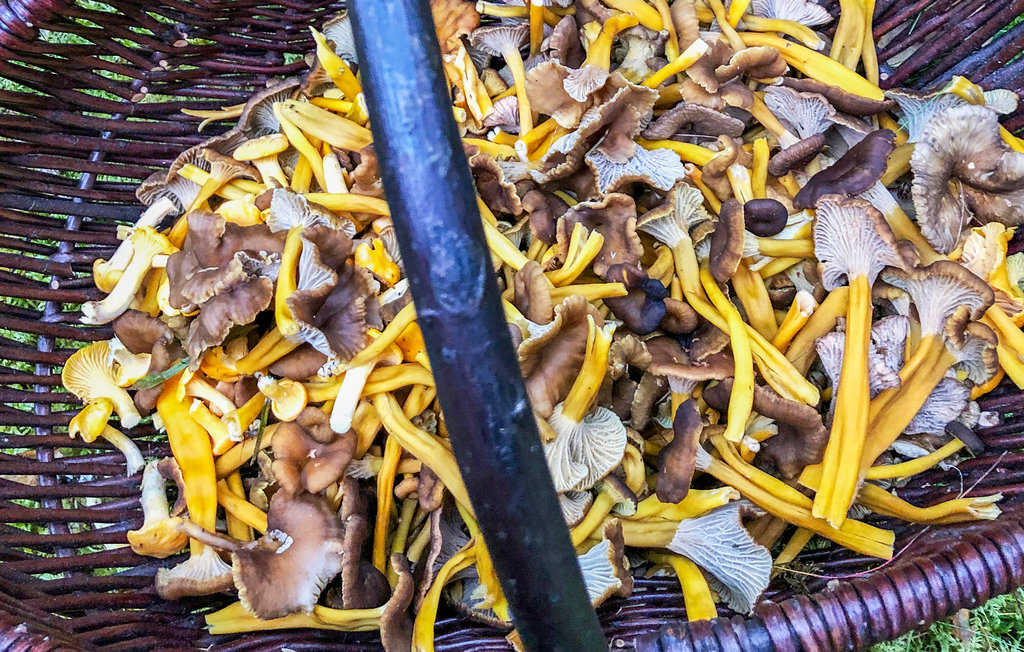 Feriehus - Råda , Sverige - S45859 20