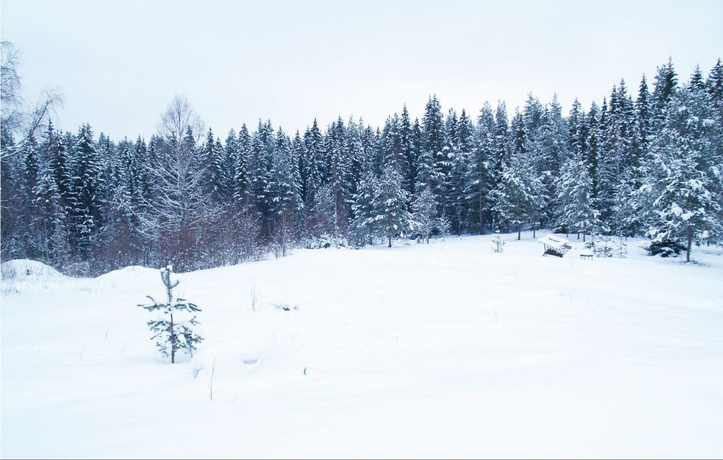 Semesterhus - Lesjöfors , Sverige - S45469 22