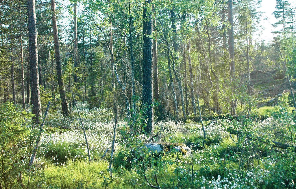 Feriehus - Malmbäck , Sverige - S06248 2