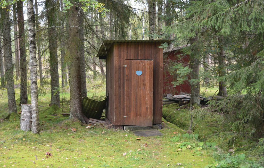 Bild 10 Bild 10