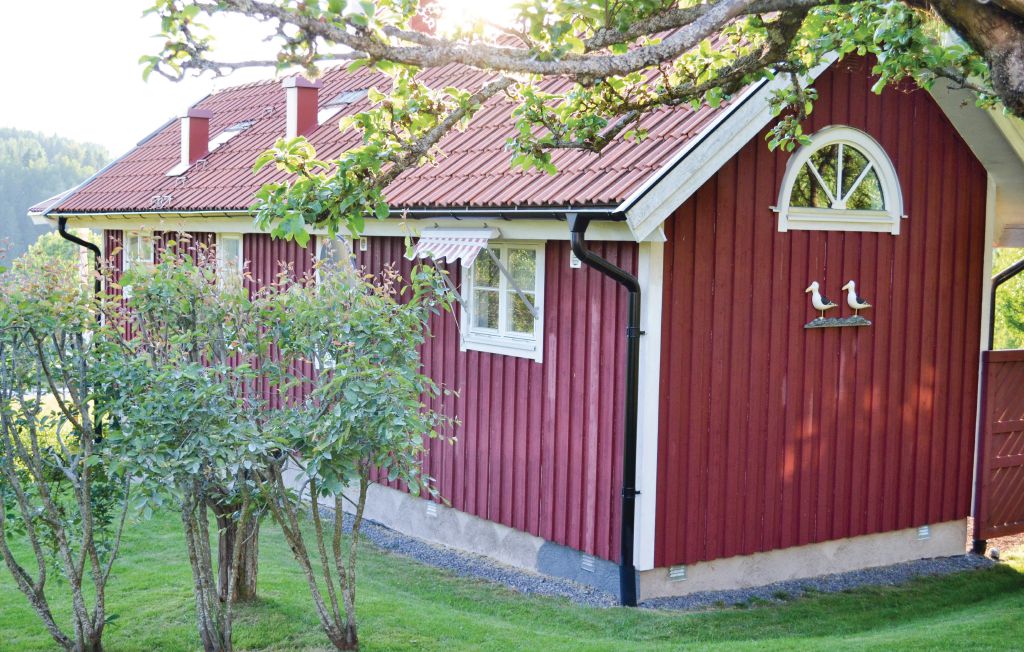 Bild 5 Bild 5