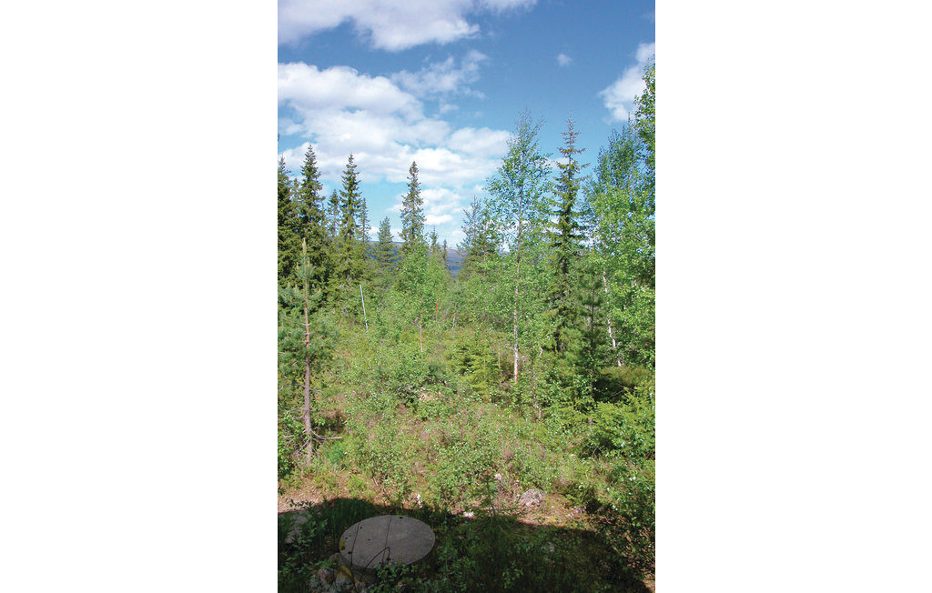 Feriehus - Sälen/Näsfjället , Sverige - S46390 13