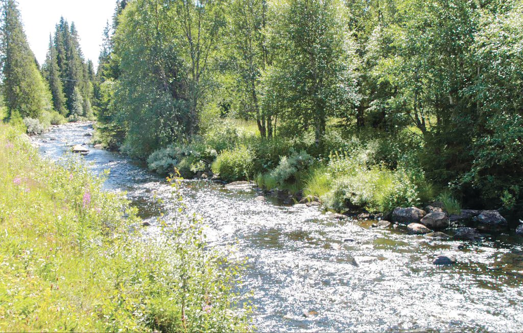 Feriehuse - Stöten/Sälen , Sverige - S46577 15