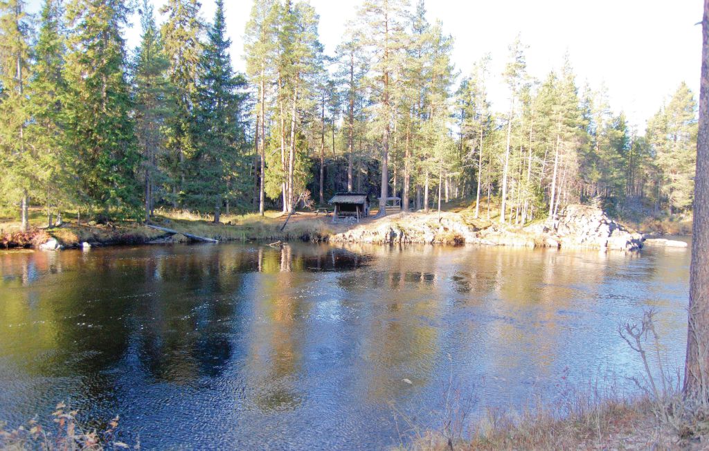 Ferienhaus - Idre , Schweden - S46800 17