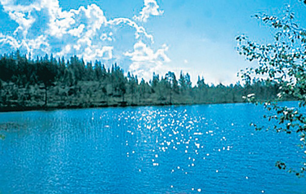 Feriehuse - Särna , Sverige - S46259 2