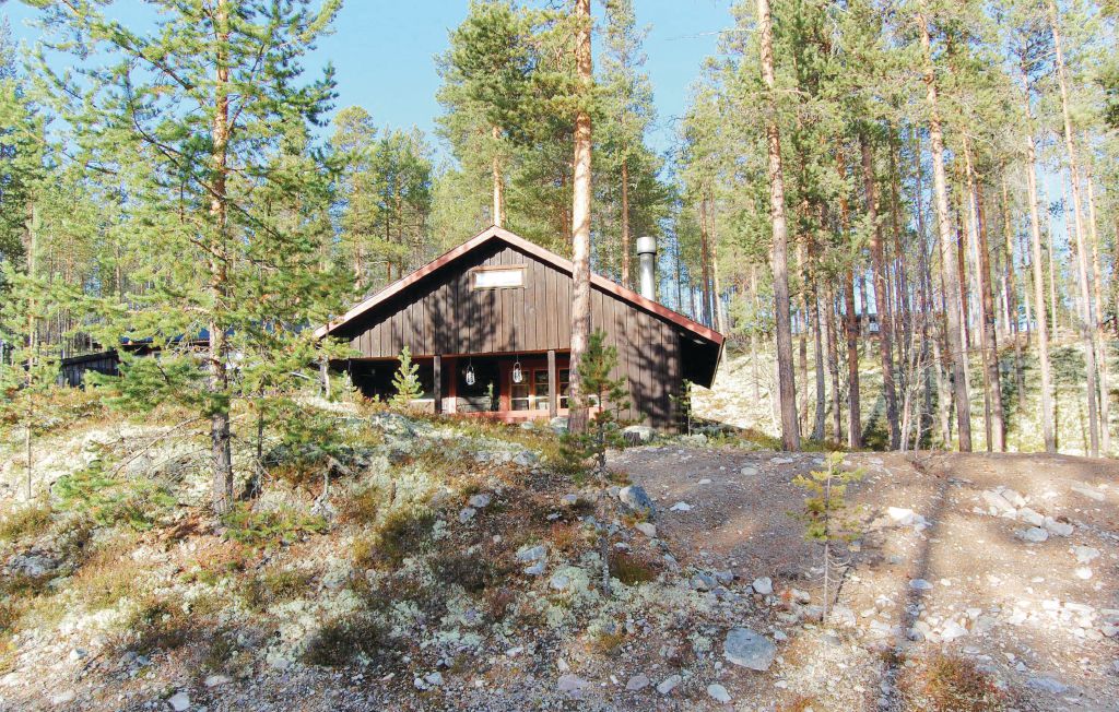 Ferienhaus - Idre , Schweden - S46800 2