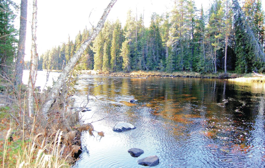 Ferienhaus - Idre , Schweden - S46800 16