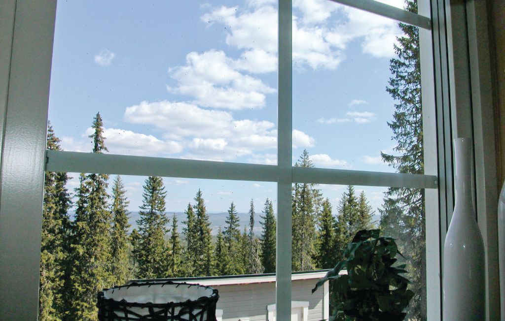 Luxuriöse Ferienwohnung im Doppelhaus und unweit vom Freizeitangebot Sälens. Das Schwimmbad mit beheiztem Becken, der Lift auf den Berg, Wanderwege und das Sommercafé sind in der Nähe.