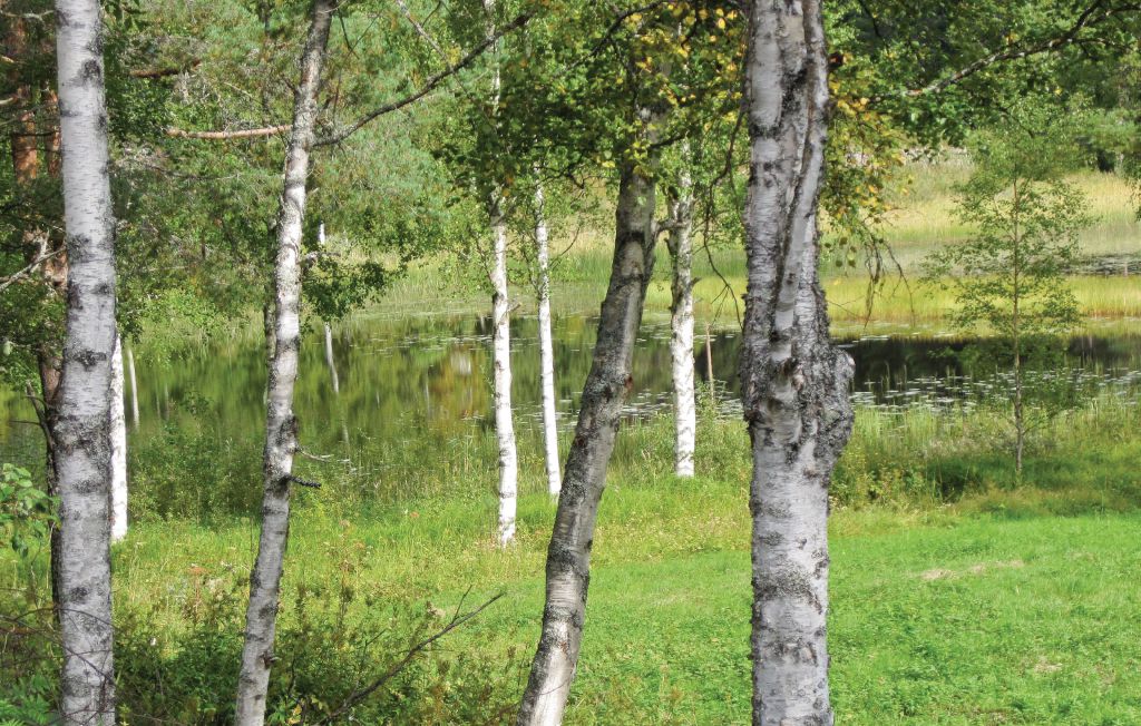 Bild 15 Bild 15