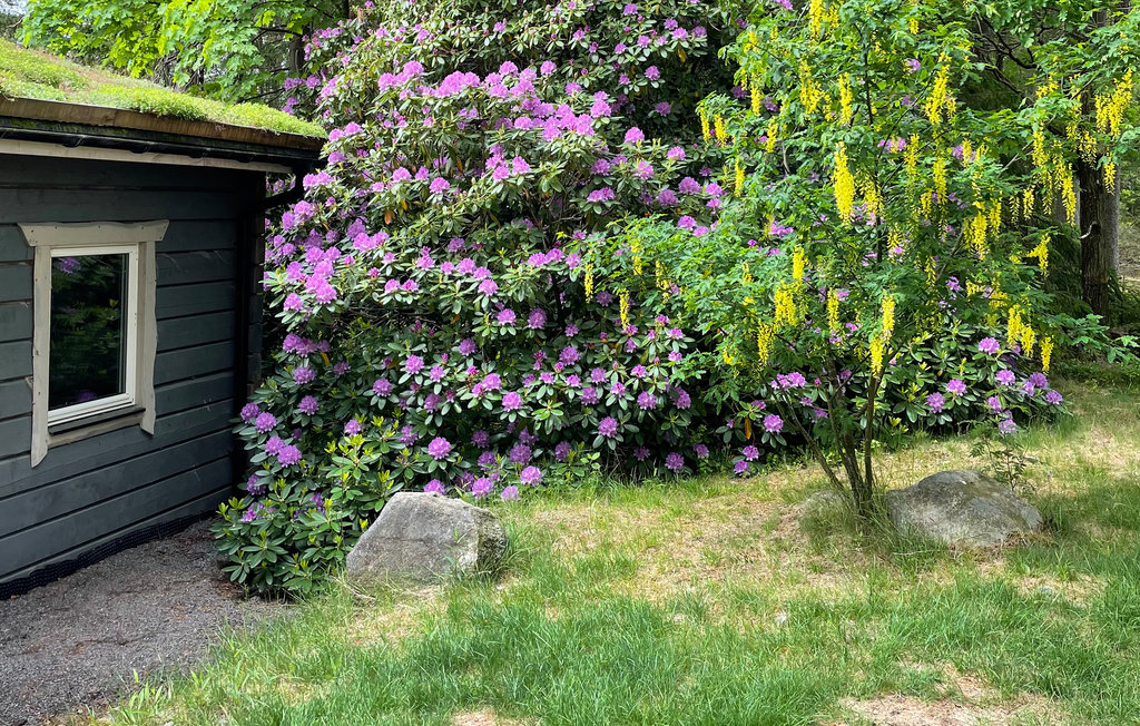 Feriehus - Sandsjön/Härryda , Sverige - S50455 14