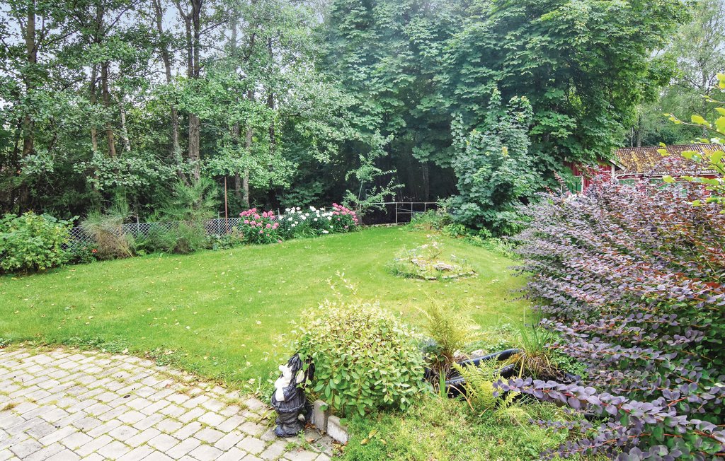 Feriehuse - Mårdaklev , Sverige - S50230 4