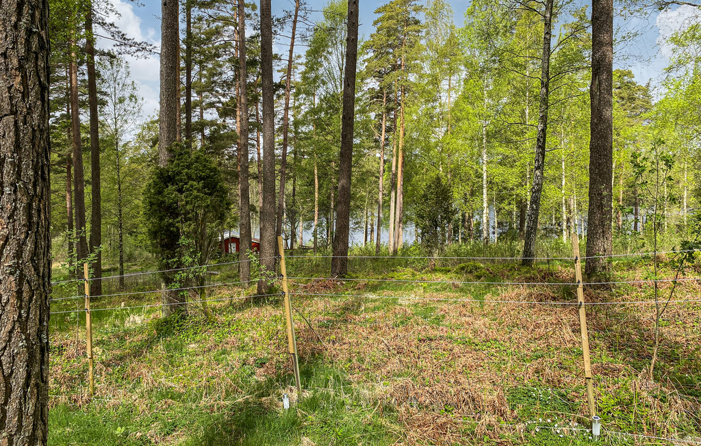 Feriehuse - Navåsen/Björketorp , Sverige - S50406 12