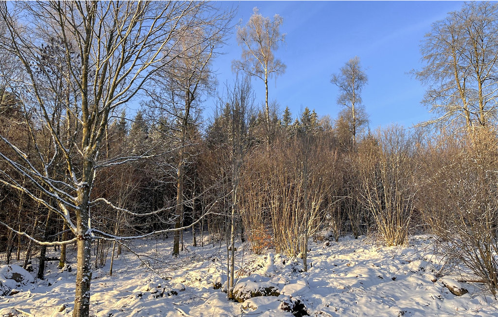 Semesterhus - Äspered/Borås , Sverige - S50454 30