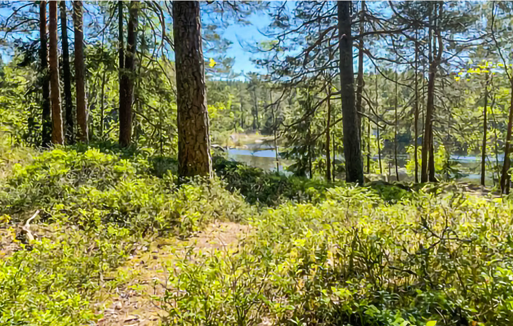 Ferienhaus - Mollaryd , Schweden - S50354 20