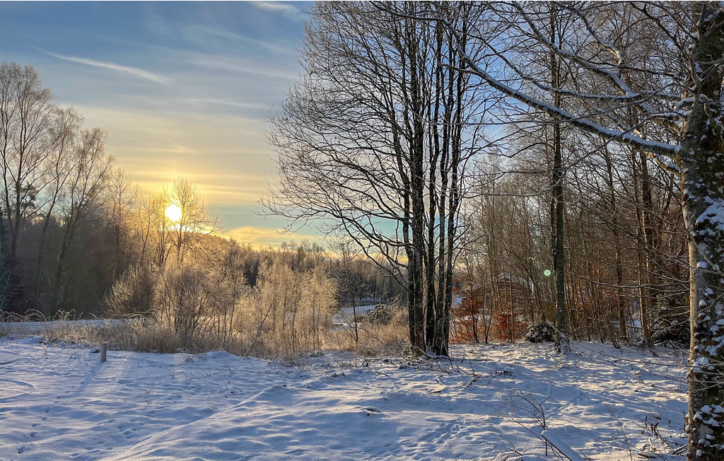 Semesterhus - Äspered/Borås , Sverige - S50454 31