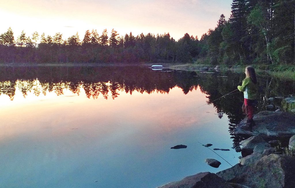Ferienhaus - Mårdaklev , Schweden - S50042 31