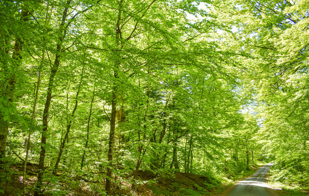 Ferienhaus - Mollaryd , Schweden - S50354 21