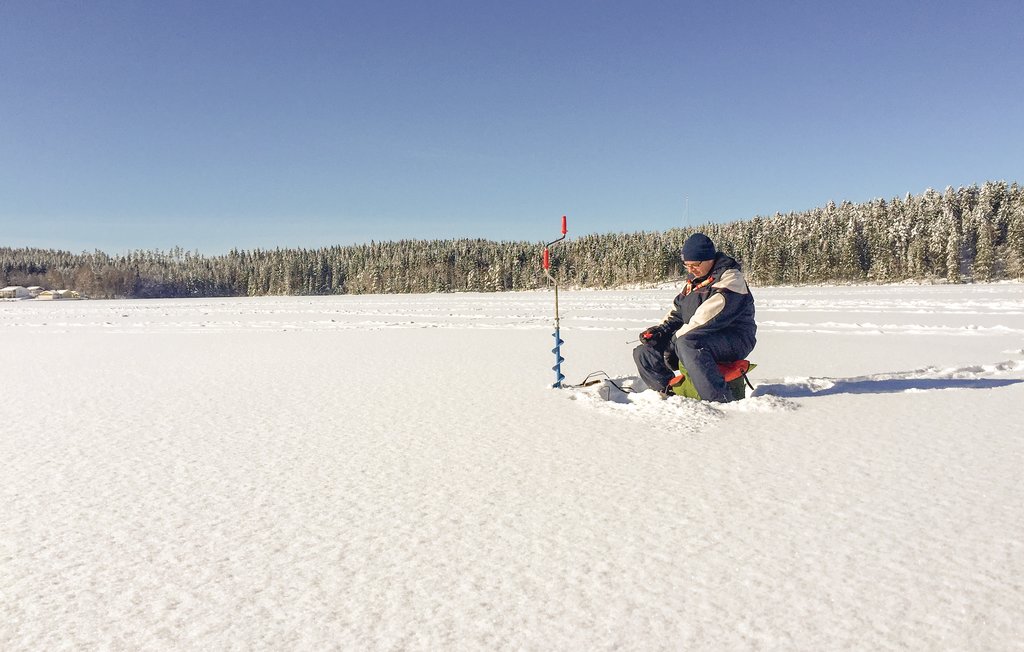 Feriehuse - Dalsjöfors , Sverige - S50028 21