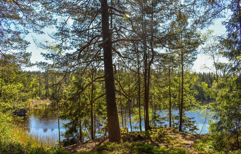 Ferienhaus - Mollaryd , Schweden - S50354 24