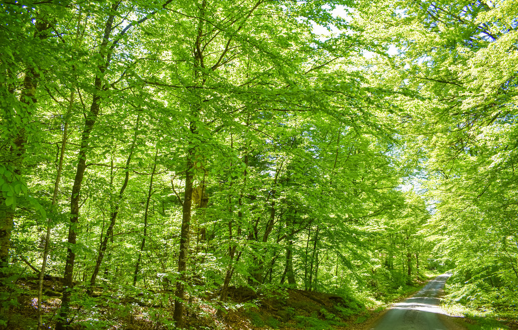 Ferienhaus - Mollaryd , Schweden - S50355 17