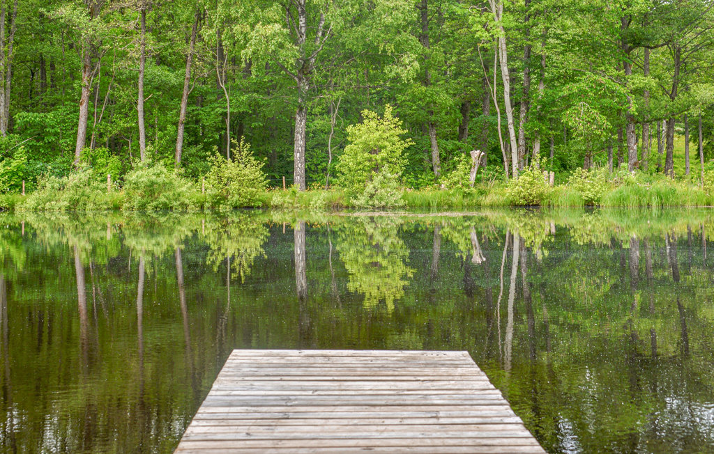 Feriehus - Skövde , Sverige - S50479 10