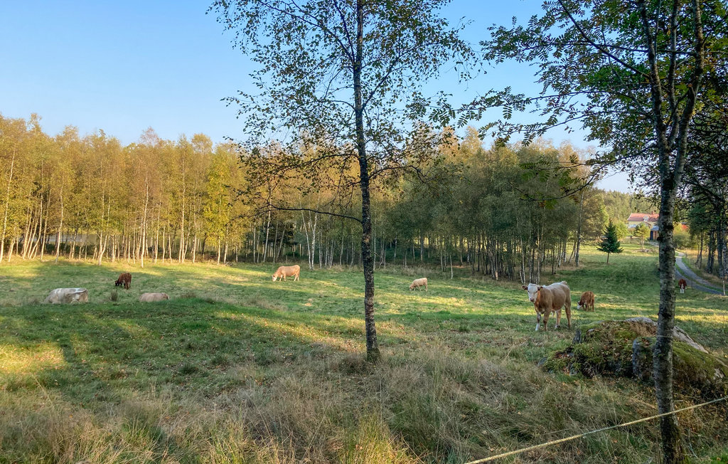 Feriehus - Torestorp , Sverige - S50458 14