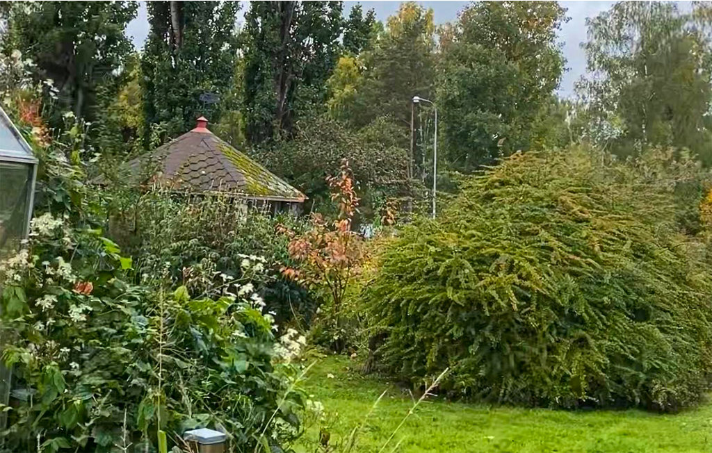 Ferieleilighet - Undenäs , Sverige - S50478 10